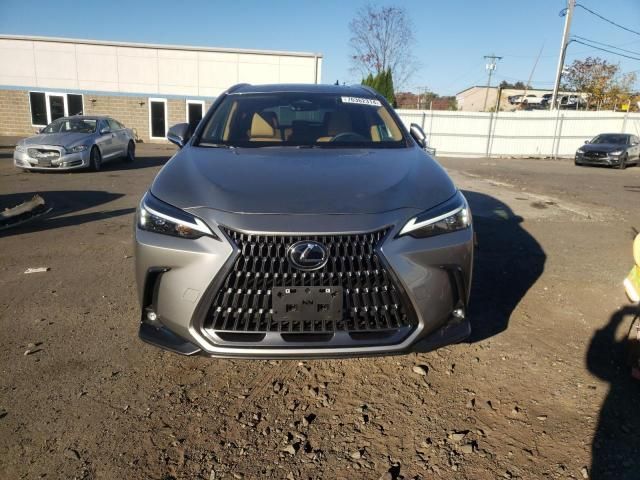 2024 Lexus NX 350 Base