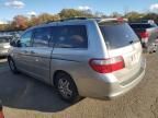 2005 Honda Odyssey EXL