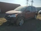 2010 Honda CR-V EXL