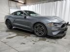 2023 Ford Mustang