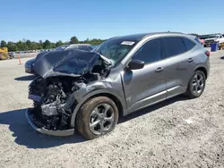 Salvage cars for sale at auction: 2023 Ford Escape ST Line