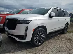 Salvage cars for sale at Riverview, FL auction: 2021 Cadillac Escalade Sport