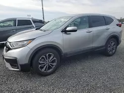 Honda cr-v ex salvage cars for sale: 2022 Honda CR-V EX