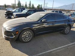 Hyundai salvage cars for sale: 2020 Hyundai Sonata Hybrid