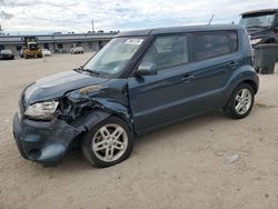 Salvage cars for sale at Harleyville, SC auction: 2011 KIA Soul +