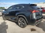 2020 Lexus NX 300