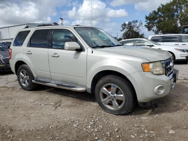 2009 Ford Escape Limited