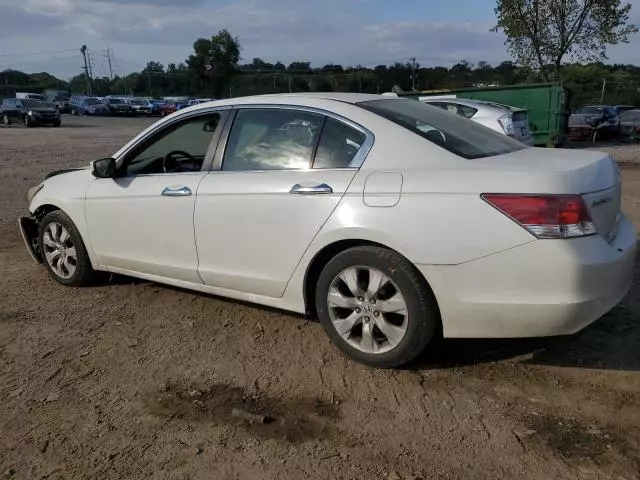 2008 Honda Accord EXL