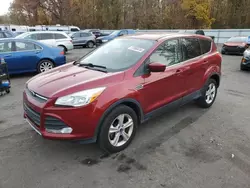 Salvage cars for sale at Glassboro, NJ auction: 2013 Ford Escape SE