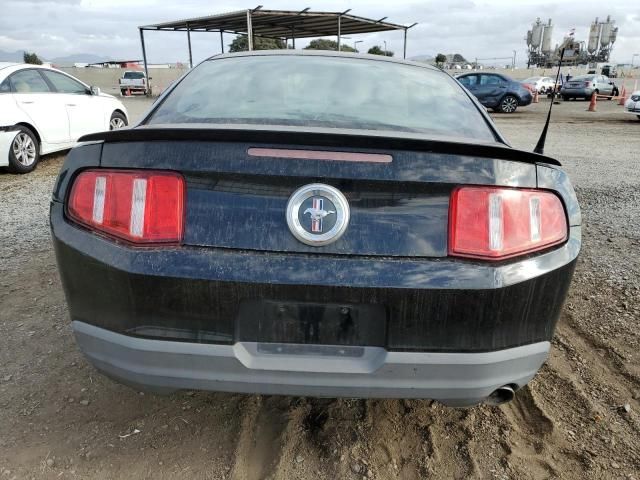 2010 Ford Mustang