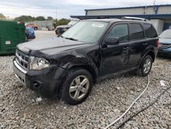 Salvage cars for sale at Wayland, MI auction: 2010 Ford Escape Limited