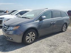 Salvage cars for sale at Riverview, FL auction: 2014 Honda Odyssey EXL