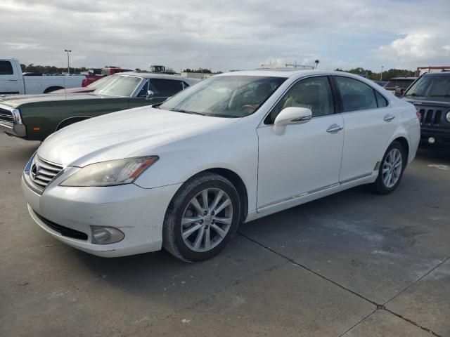 2010 Lexus ES 350