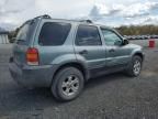 2005 Ford Escape XLT