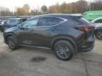 2024 Lexus NX 350H Base