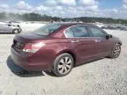 2008 Honda Accord EX