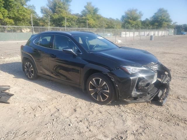 2021 Lexus UX 250H