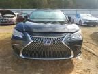 2021 Lexus ES 300H Ultra Luxury