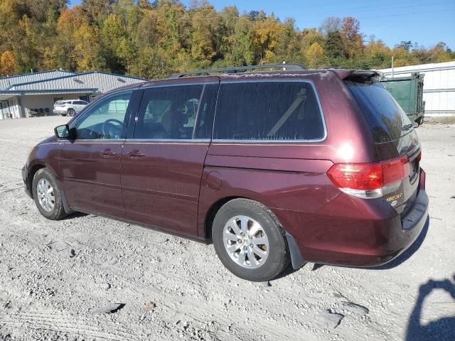 2009 Honda Odyssey EXL