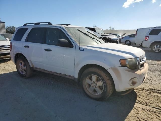 2009 Ford Escape XLT