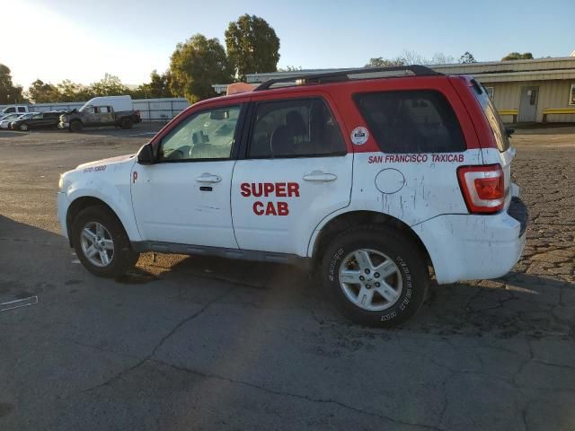 2010 Ford Escape Hybrid