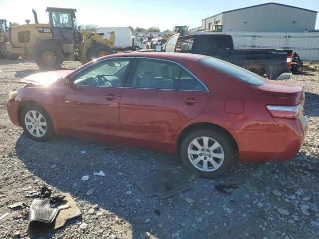 2009 Toyota Camry Hybrid