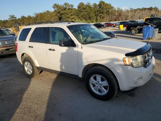 2009 Ford Escape XLT