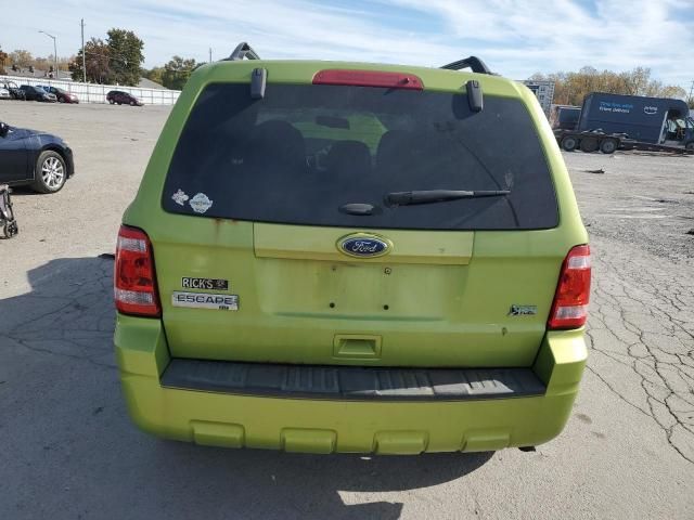 2012 Ford Escape XLT