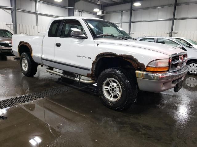 2000 Dodge Dakota