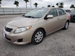 Salvage cars for sale at Arcadia, FL auction: 2009 Toyota Corolla Base