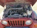 1999 Jeep Wrangler / TJ Sport