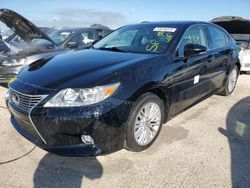 Salvage cars for sale from Copart Arcadia, FL: 2015 Lexus ES 350