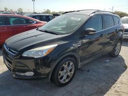 2013 Ford Escape SEL en venta en Indianapolis, IN