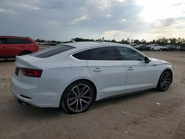 2019 Audi S5 Premium Plus