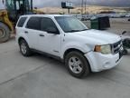 2008 Ford Escape HEV