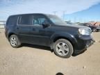 2014 Honda Pilot EX