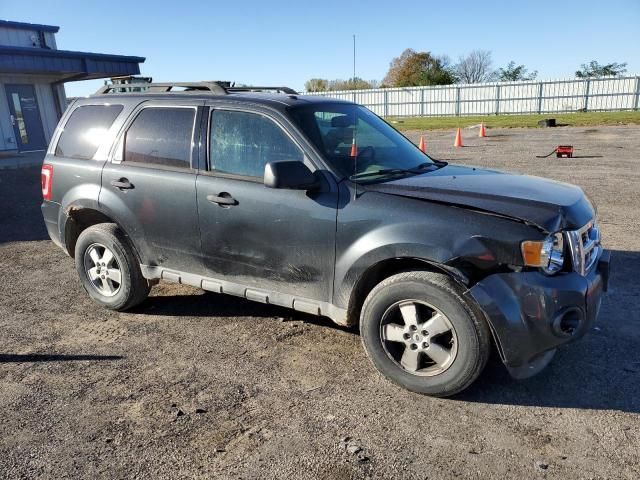 2009 Ford Escape XLT