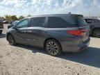 2023 Honda Odyssey EXL