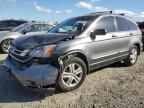 2010 Honda CR-V EXL