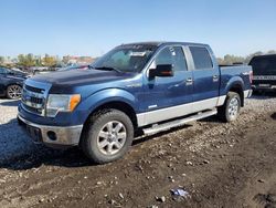 Ford salvage cars for sale: 2013 Ford F150 Supercrew