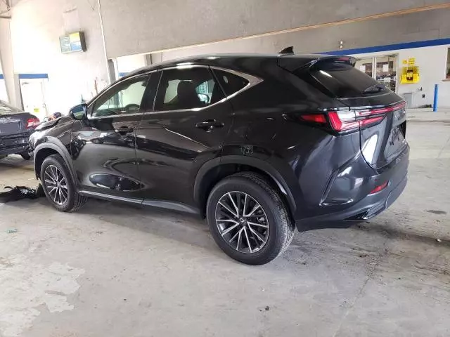 2025 Lexus NX 350 Base