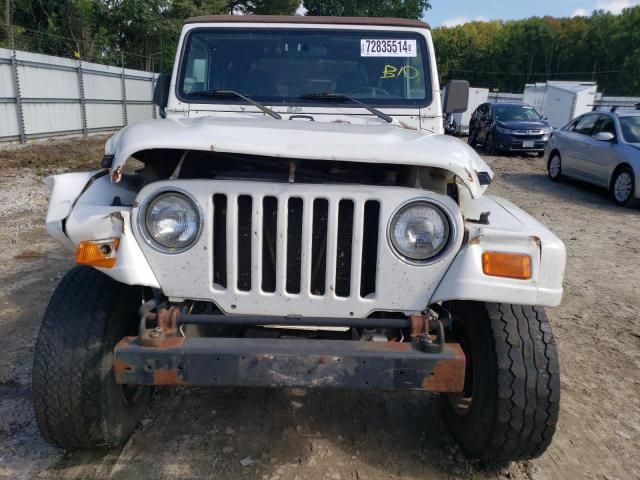 2001 Jeep Wrangler / TJ Sahara