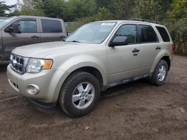 2011 Ford Escape XLT