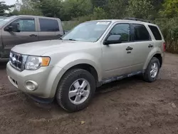 Ford Vehiculos salvage en venta: 2011 Ford Escape XLT