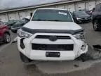 2021 Toyota 4runner SR5/SR5 Premium