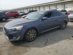 2014 KIA Cadenza Premium en venta en Louisville, KY