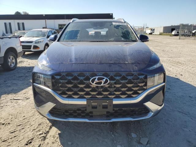 2022 Hyundai Santa FE Calligraphy