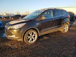 Ford salvage cars for sale: 2013 Ford Escape Titanium