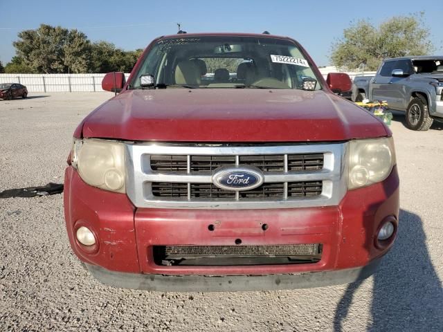 2011 Ford Escape Limited