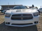 2014 Dodge Charger SXT